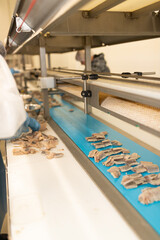 A seafood worker wearing protective gloves sorts pieces of herring fillet on a blue conveyor belt at an industrial processing plant. The image showcases manual quality control within automated product