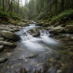 Obraz premium waterfall in the woods