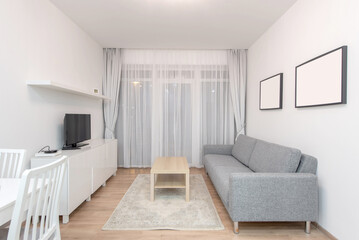 Modern Minimalistic Home Living Room with Dining Space Design