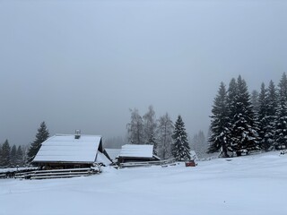 Velika planina in Slovenia, winter landscape