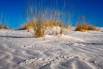 Sand ripples seen at White Sands National Park