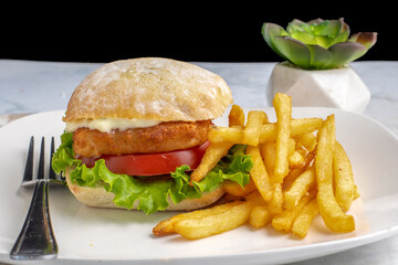 fish fillet sandwich  with   fries