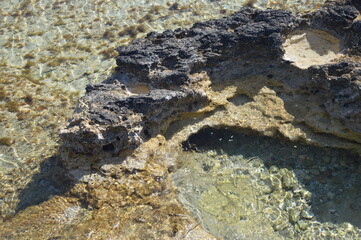 Close-up of rocky tide pool with clear water and seaweed under bright sunlight, tranquil coastal nature, copy space