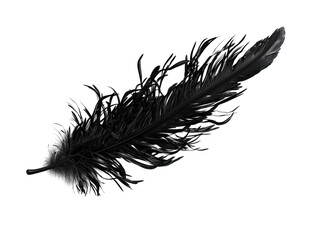 Obraz premium PNG of A delicate black feather gracefully floating against a clean background, evoking feelings of elegance and mystery.