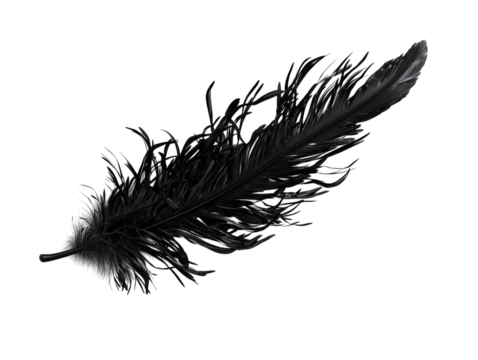 PNG of A delicate black feather gracefully floating against a clean background, evoking feelings of elegance and mystery. - Powered by Adobe