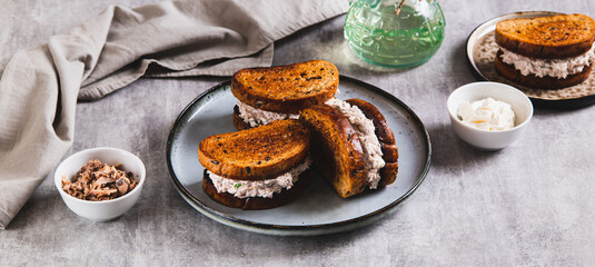 Ricotta and tuna salad on a grain bread burger on a plate on a table web banner