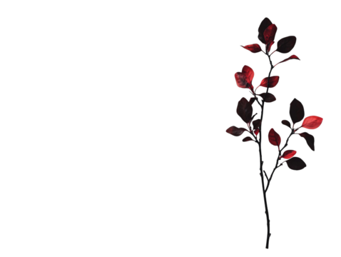 PNG of Elegant dark branch with vibrant red leaves against a black background, creating a striking contrast and serene atmosphere. - Powered by Adobe
