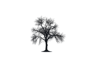 PNG of Silhouette of a large, leafless tree against a stark background, evoking a sense of solitude and introspection.