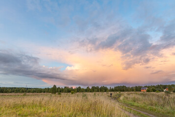 Obraz premium Field of grass with a cloudy sky in the background
