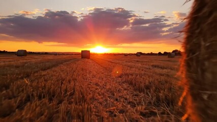 Golden sunset over harvested wheat field with round hay bales and dramatic clouds casting sun - Powered by Adobe