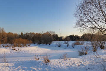 Snowy field with a few trees in the background