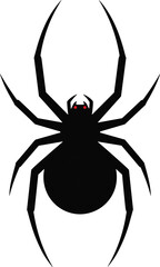Black spider with red eyes graphic illustration on white background arachnid insect