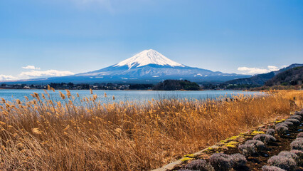 Lake Kawaguchiko, Japan - March 14 2025: Tourists enjoying the view of Lake Kawaguchiko with Mount Fuji in the background. Famous scenery of Mount Fuji in Japan. Blue skies on a cold sunny morning.