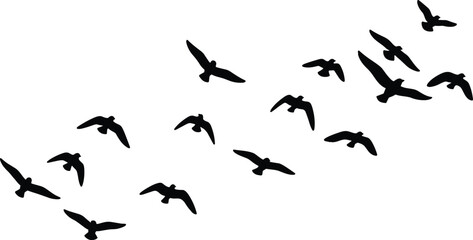 Flock of black birds in silhouette flying across a white background vector
