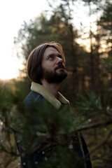 Man Looking Up at Pine Trees in Forest