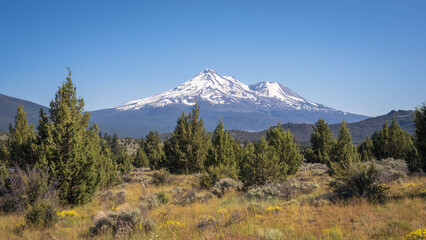 Mount Shasta and Shastina