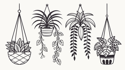 Hanging Plants Line Art Vector, CAD-Style Trailing plant in Pots Symbols for Architecture and Garden Plans