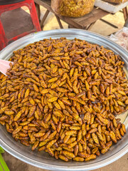 A large metal tray is filled with golden-brown fried silkworm pupae, a popular and crunchy insect snack sold as street food at a bustling local market in Phnom Penh, Cambodia, a unique delicacy.