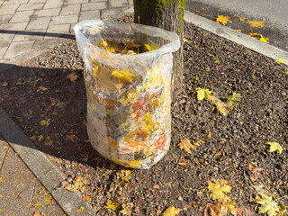 Clear plastic bag filled with autumn leaves on urban street