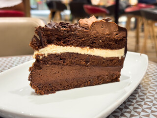 Delicious chocolate cake slice with cream filling on white plate
