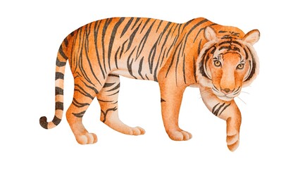 Watercolor Tiger Illustration Artistic Wildlife Animal Art for Posters and Home Decor - 1