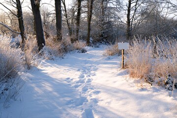 Winter hiking trail surrounded by snow-covered trees and shrubs