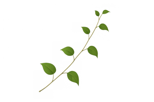 Green plant vine with fresh leaves, showing growth and nature, isolated on a transparent background for versatile use