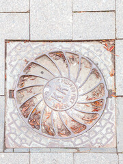 A manhole cover with a floral pattern on a city sidewalk, surrounded by gray stones and autumn leaves.
