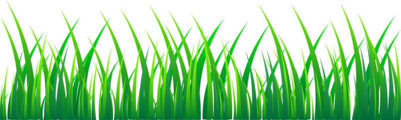 Grass Illustration