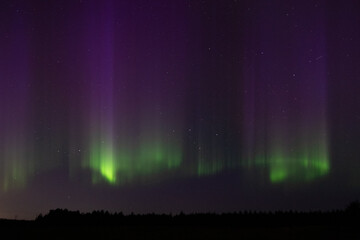 Manitoba Northern Lights