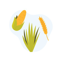 Obraz premium Isolated corn, wheat, and grass used for biogas production on a clean white background vector illustration