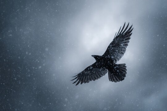A raven flies gracefully in a snowy landscape under a dark sky. Snowflakes dance around the bird as it navigates through the winter storm, showcasing its powerful wings
