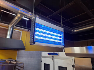 Lamp trap in kitchen of pizzeria. Electric ultraviolet insecticide insect killer