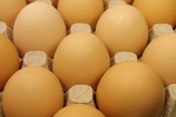 Fresh yellow chicken eggs in tray