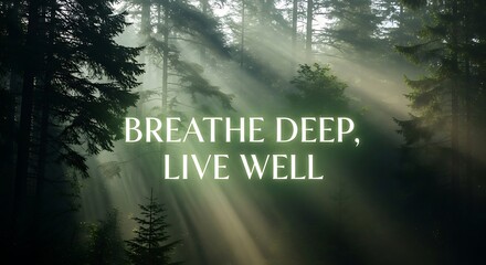 Sunlight streams through the trees in a forest, creating a serene and peaceful atmosphere with the motivational quote breathe deep, live well