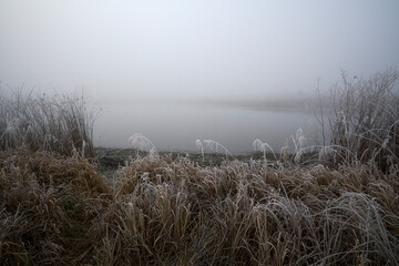 Frosty hoarfrost in the fog.