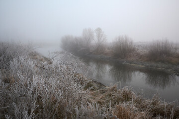 Frosty hoarfrost in the fog.