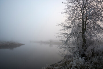 Frosty hoarfrost in the fog.