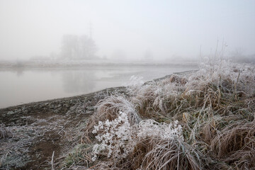 Frosty hoarfrost in the fog.