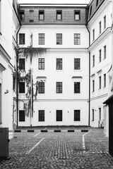 Historical courtyard with ivy on white walls and cobblestone pavement in old Prague, Czech Republic, European architecture and urban heritage detail