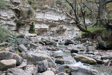 Obraz premium Río fluyendo a través de un cañón rocoso o garganta. El agua desciende a través de una serie de pequeñas cascadas y rápidos.