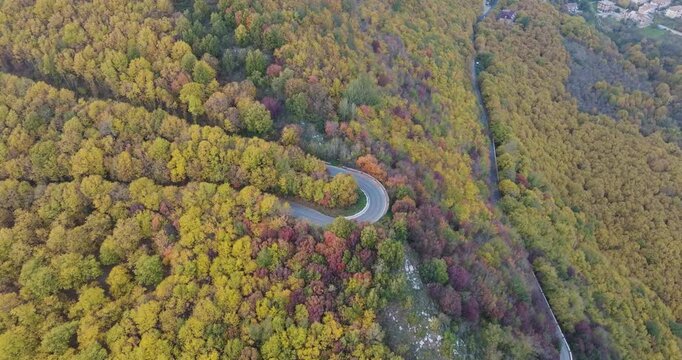 Aerial view of a winding road cutting through a dense forest, showcasing a vibrant tapestry of autumn colors, Montevergine, Irpinia, Italy.