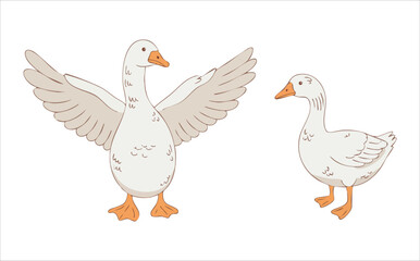 adorable geese characters with various poses and expressions vector art isolated on white background