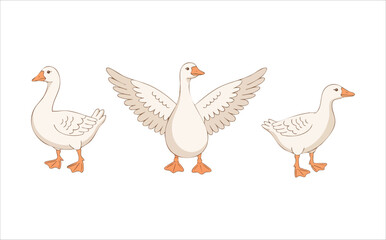 adorable geese characters with various poses and expressions vector art isolated on white background