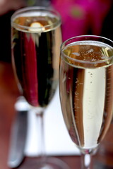 Champagne Toast with Elegant Glasses
