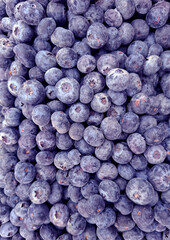 Fresh blueberries showcase their rich texture and deep color in a close-up view, highlighting their natural beauty