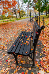 Scenic autumn landscape with pathway and benches in Washington DC