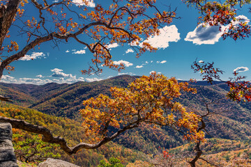 Colorful forest valley seen through tree branches in Blue Ridge Mountains