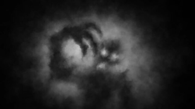 Dark horror 2D animation for Halloween. Scary night atmosphere. Vj loops. Black and white background.