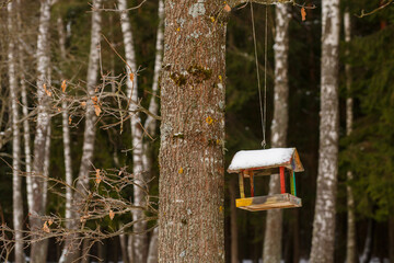 Wooden bird feeder hanging on tree branch in winter forest. Concept of caring for birds, ecology, and wildlife support during cold season.
